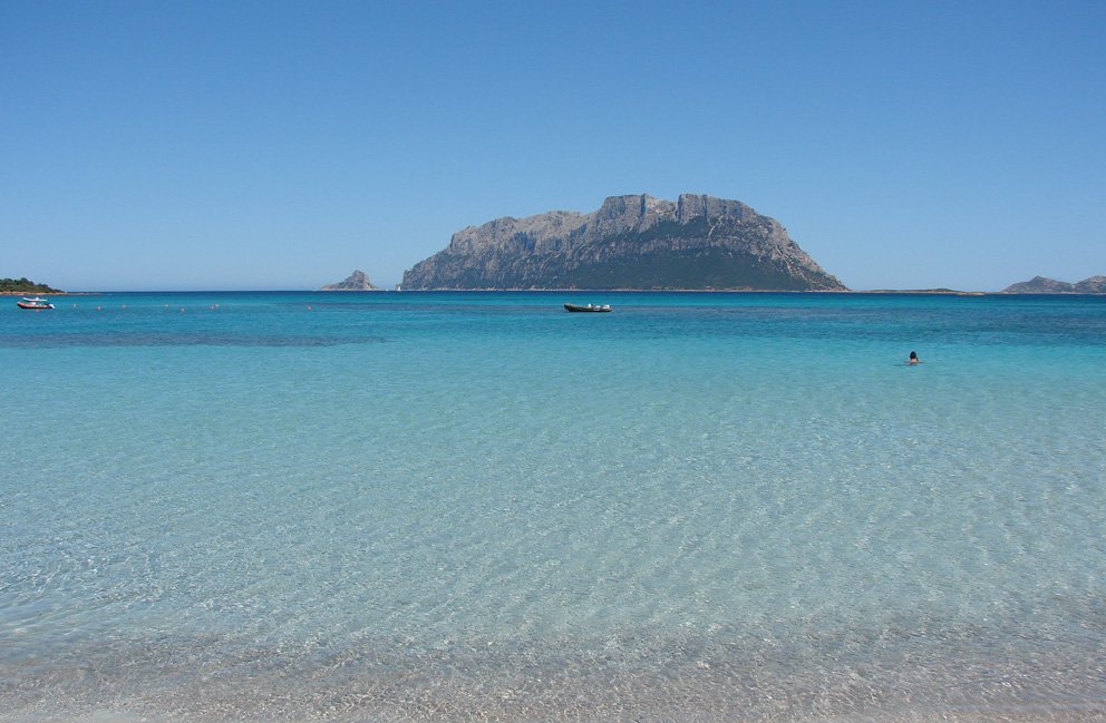 Vista di Tavolara da spiaggia Pittulongu